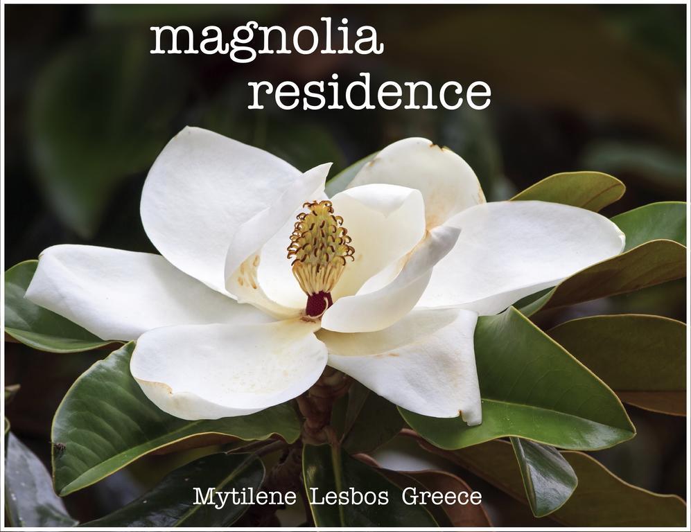 Magnolia Residence Mytilíni Zewnętrze zdjęcie